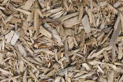 biomass boilers Idlicote
